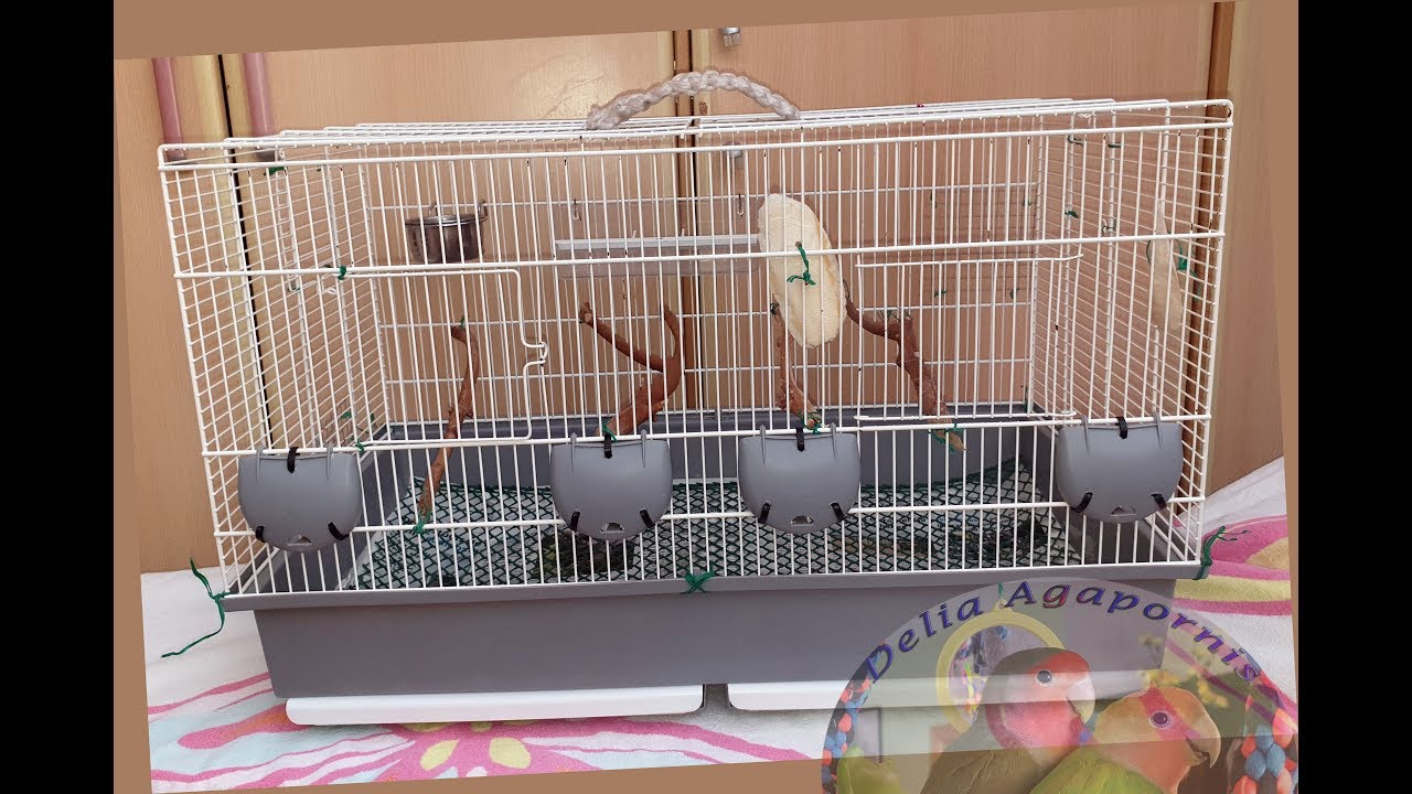 Vendo Voltrega para la 350 Blanca 69x38x42cm🚫❎No envío🚫❎No cambio No Negociable. - YouTube