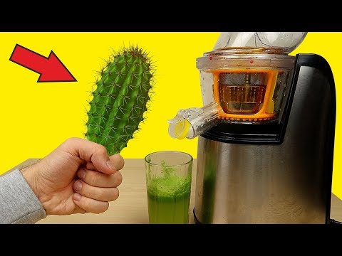 Видео: Бедная соковыжималка! Сок из КАКТУСА! Пробую его на вкус! Что если сделать сок? Alex Boyko