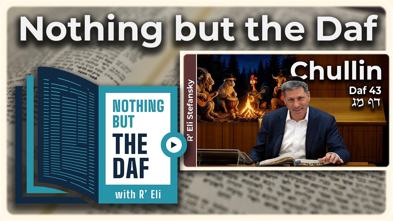 CHAZARAH - Chullin Daf 43 | "Nothing but the Daf" with R' Eli Stefansky