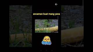 Download Mp3 ancaman mang yana Gudang lagu Download Mp3 ancaman mang yana