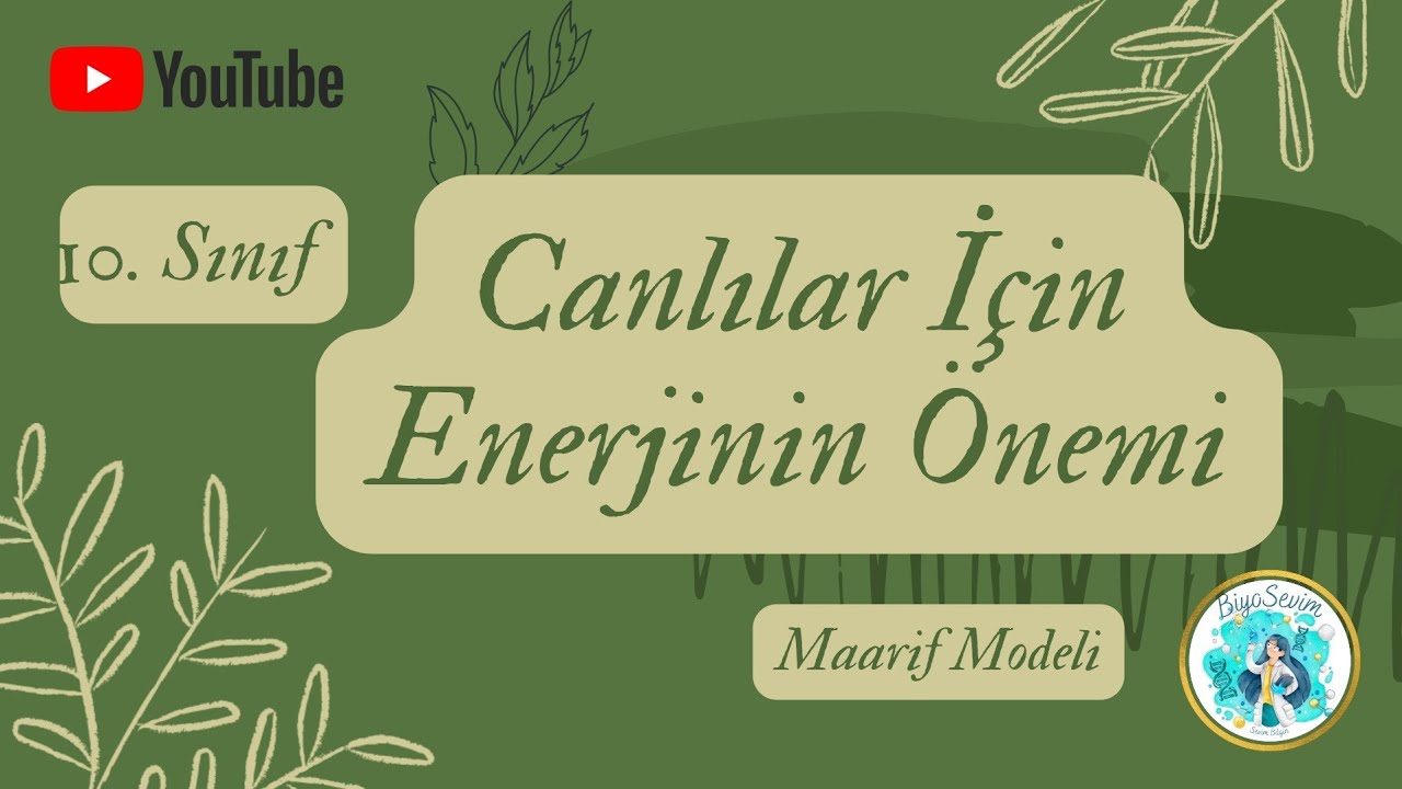 1) 10. SINIF BİYOLOJİ - CANLILAR İÇİN ENERJİNİN ÖNEMİ -  MAARİF MODELİ