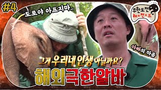 [6月의 무도] 아프지마 도토 도토 잠보🐘 시작은 분노였으나 그 끝은 감동이어라 ଘ(੭*ˊᵕˋ)੭  “해외 극한알바” 4편 infinite challenge