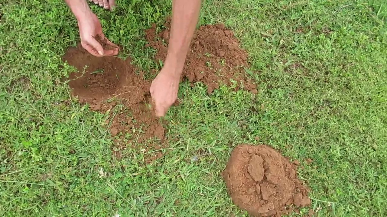 Metal Detecting Thailand Pattaya 2 Live Dig Dave McCabe Amulet 10 July