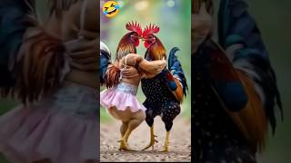 Funny Video