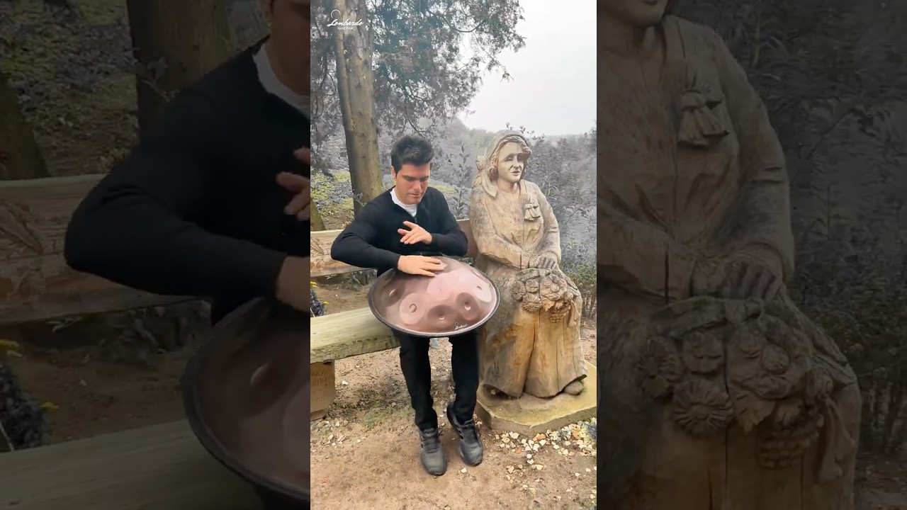 A unique voice in harmony with nature. 🎶Lombardo Handpan D minor14 notes #handpan #hangdrum #pantam