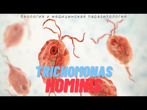 Video: Trichomonas Colpitis - Príznaky, Liečba