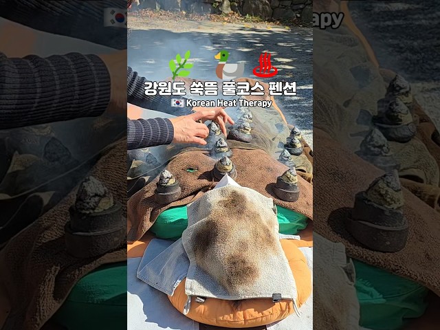 🌿 🦆♨️강원도 쑥뜸 풀코스 펜션