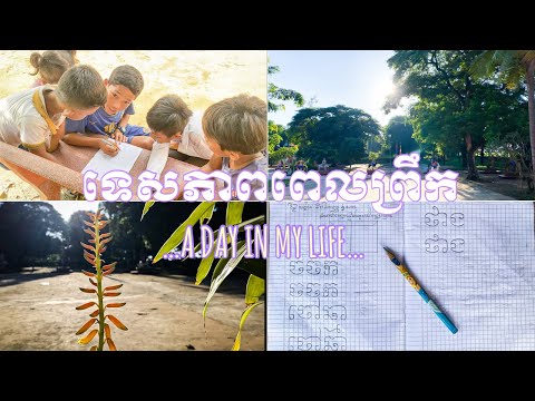 ទេសភាពពេលព្រឹកវត្តខ្ញុំ | Some views of my Pagoda in the morning ❤️🌞🍃🌱