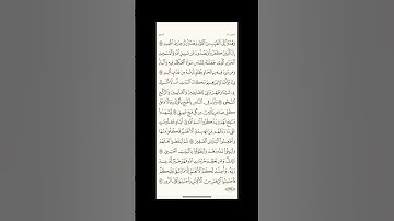 الورد اليومي: 4 صفحات (333-334-335-336) لتجنب هجر القرآن | تذكير يومي مستمر #قرآن #تلاوة