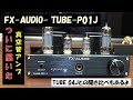 【遂に届いた真空管アンプ！】FX−AUDIO -TUBE−P01Jで鳴らす大型スピーカーの音とは？TUBE−04Jとの聴き比べもあります