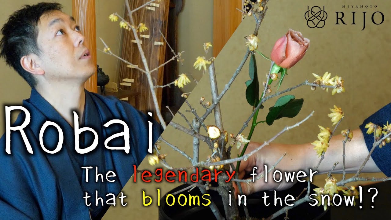 Урок икебаны | Как оформить морибану с помощью робаи
