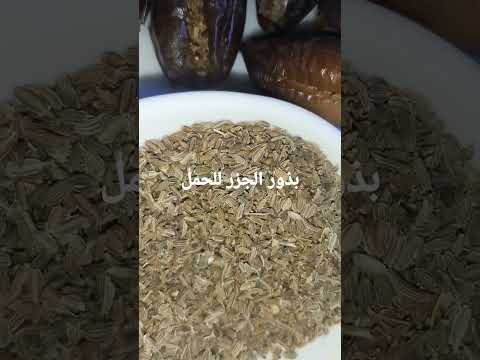 بذور الجزر للحمل من الشهر الاول