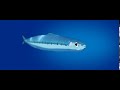 映画『海獣の子供』魚のアニメーション