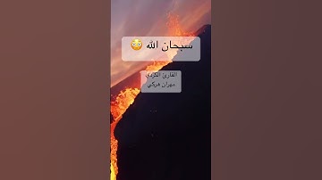 سورة الفجر / الآية(٢٣-٢٤) بصوت القارئ الكردي مهران هركي