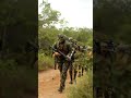 Nossa Cavalaria em treinamento. Vai encarar ?!