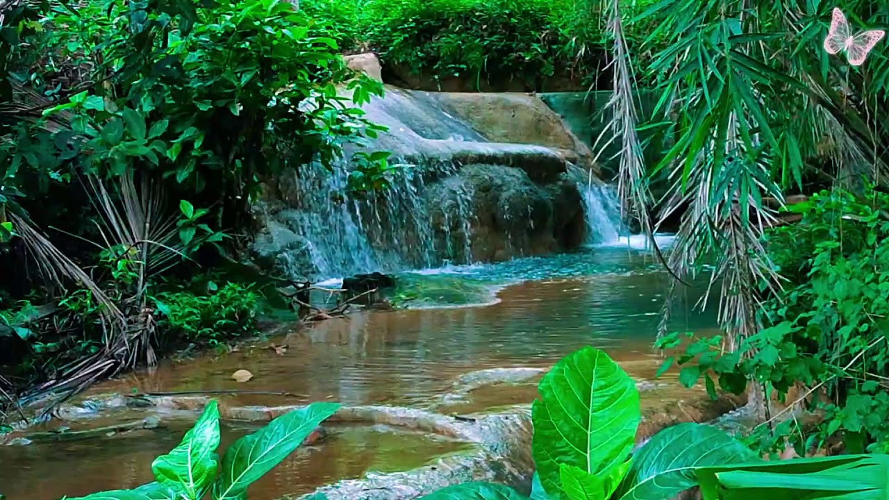 Relaxing Music For Stress Relief, Anxiety and Depressive States🌲 Heal Mind, Body and Soul Relax 33