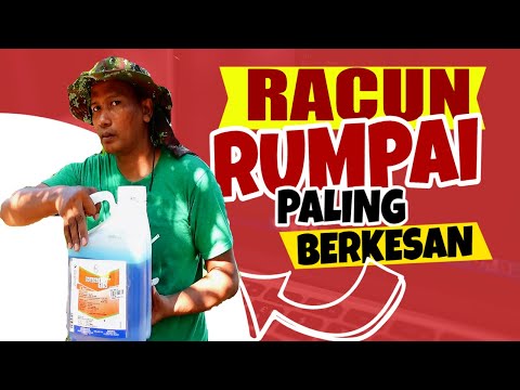 Video: Cara Menggunakan Racun Rumpai Di Kebun Anda