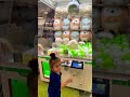 CUTE 4 YEAR OLD GIRL GOES SHOPPING AT AEON MALL JAPAN Aeonmall Japan CUTE 4 YEAR OLD GIRL GOES SHOPPING AT AEON MALL JAPAN Aeonmall Japan