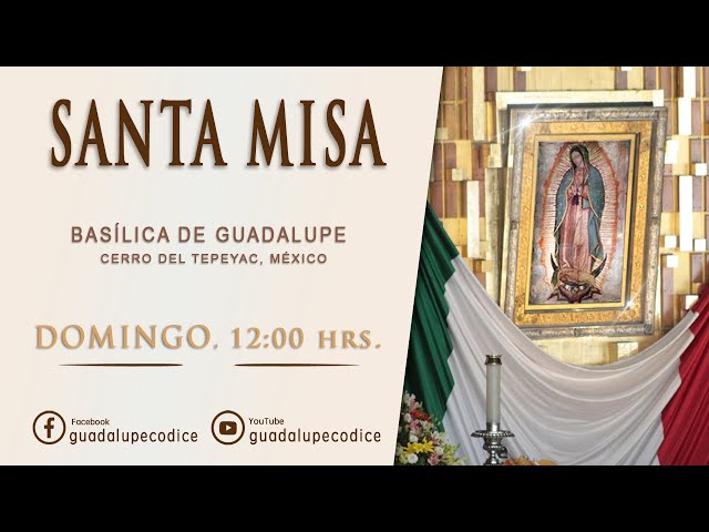 Santa Misa, Basílica de Guadalupe, Domingo 12 MAYO 2024, 12:00 hrs class=