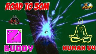 Road To 30M Bounty This Combo Buddy Portal Human Race Is Insane In Blox Fruits