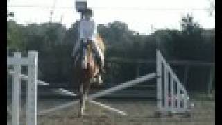2ft3 jumping knapp farm