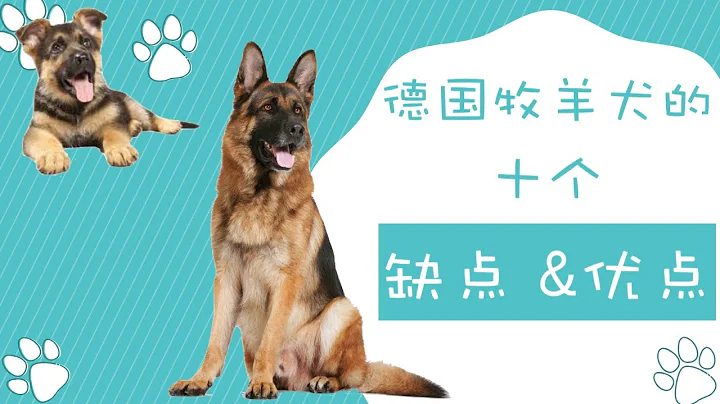 德国牧羊犬的十个优缺点，请想清楚再决定要不要养德国牧羊犬（点CC看字幕） - 天天要闻