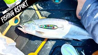 Kings Are Around But Tough Bite | Lake Michigan Fishing Report 7-14-26