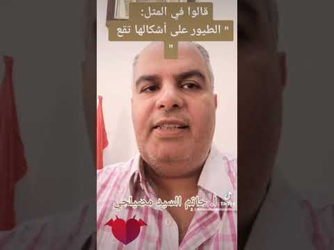 قالوا في المثل الطيور على أشكالها تقع