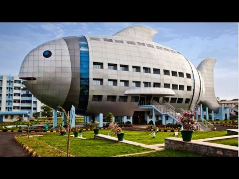 The Fish Building🐟 Of Hyderabad Pillar No:235 Mehdipatnam - YouTube