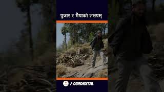 Pujar Sarki Nepali Movie Trailer Aryan Sigdel Pradeep Khadka Paul Shah Anjana Parikshya