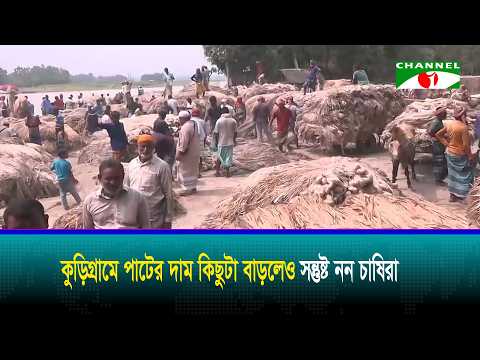 Farmers in Kurigram unsatisfied despite rise in jute prices