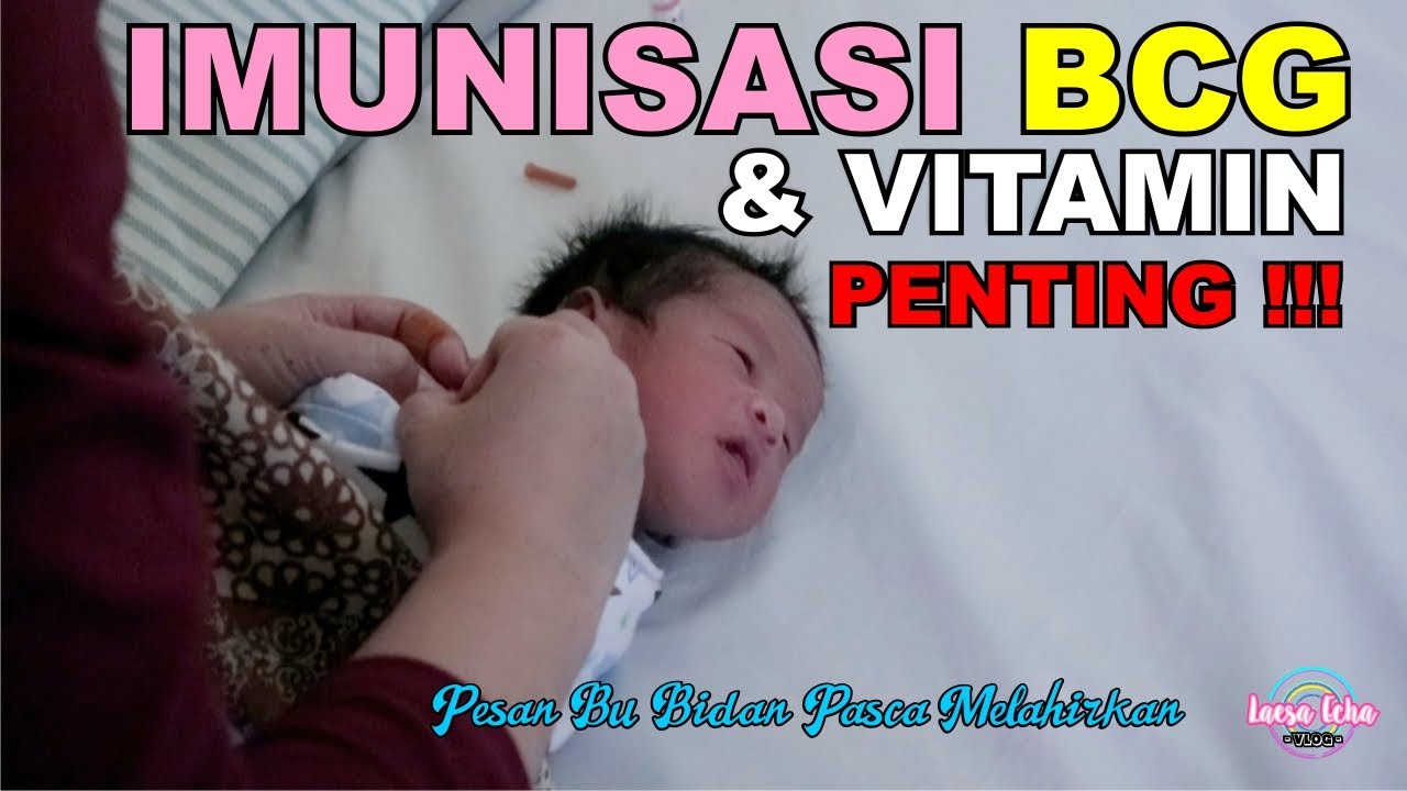 PENTING IMUNISASI SUNTIK BCG  DAN PEMBERIAN VITAMIN ADEK 