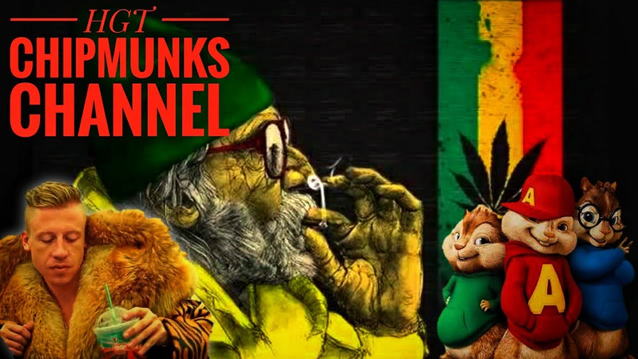 Smoke Weed Everyday X Thrift Shop - HGT Chipmunks Channel