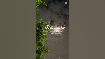 تلاوة تهز القلوب |سورة المؤمنون للشيخ ادريس أبكر
