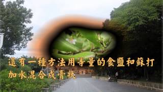1030513潔白牙齒的妙方