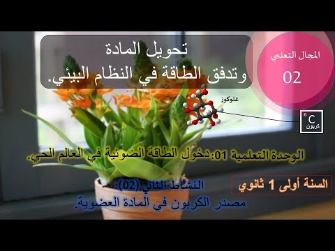 02 مصدر الكربون في المادة العضوية