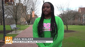 NPHC Events Come to UT Campus