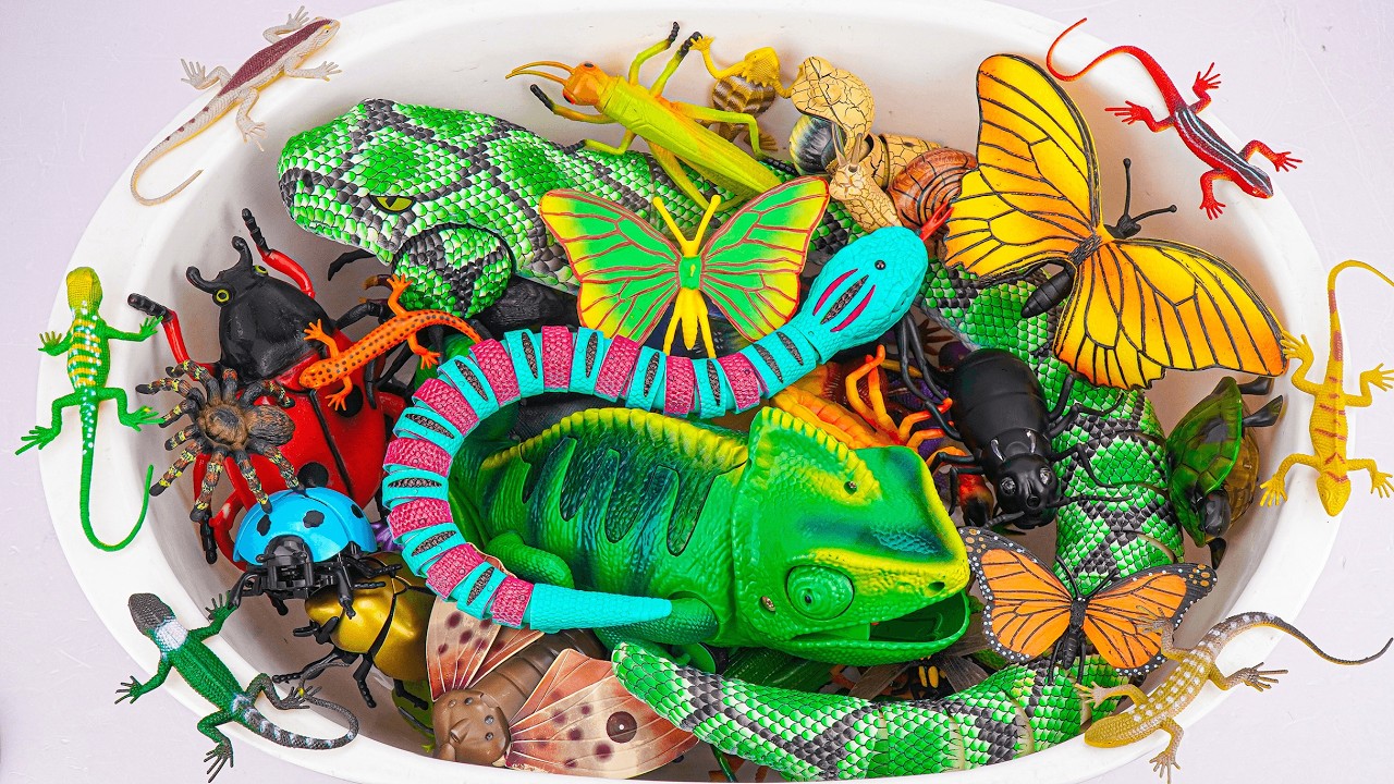 Ultimate ZURU Robo Alive Insects ASMR 🦎 Cobra Snake, Chameleon, Butterfly, Worm (No Talking)