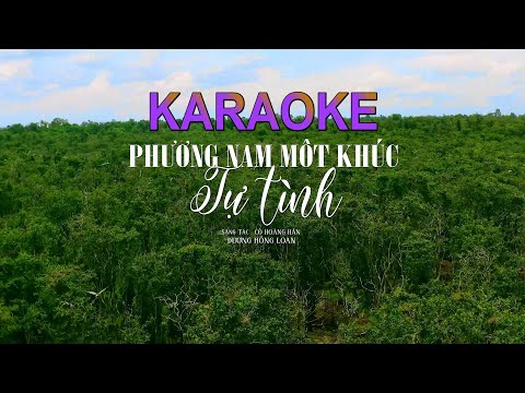KARAOKE PHƯƠNG NAM MỘT KHÚC TỰ TÌNH - DƯƠNG HỒNG LOAN - ST CÔ HOÀNG HÂN