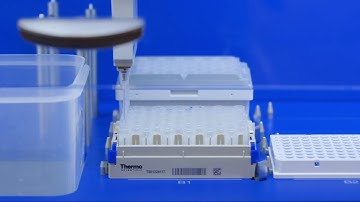 Wash U Covid-19 Lab Process