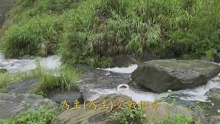 486首  為主拋命交戰若息 演奏版  賴鴻毅牧師台語聖詩  我有保護者在身邊專輯第十三首