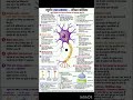 billo bhynker#nerone information #study #class10 #gk #neet #science #sciencefacts