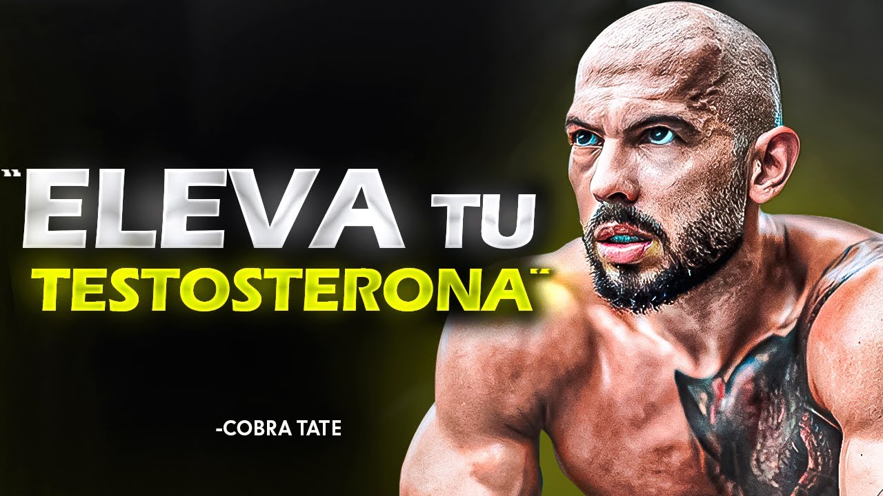 El SECRETO Para Tener Más TESTOSTERONA - Andrew Tate Poderoso Discurso Motivacional