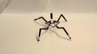 Arthrobot -  Four legged walker