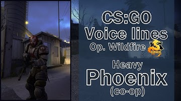 CSGO Operation Wildfire Voice Lines: Heavy Phoenix (coop)