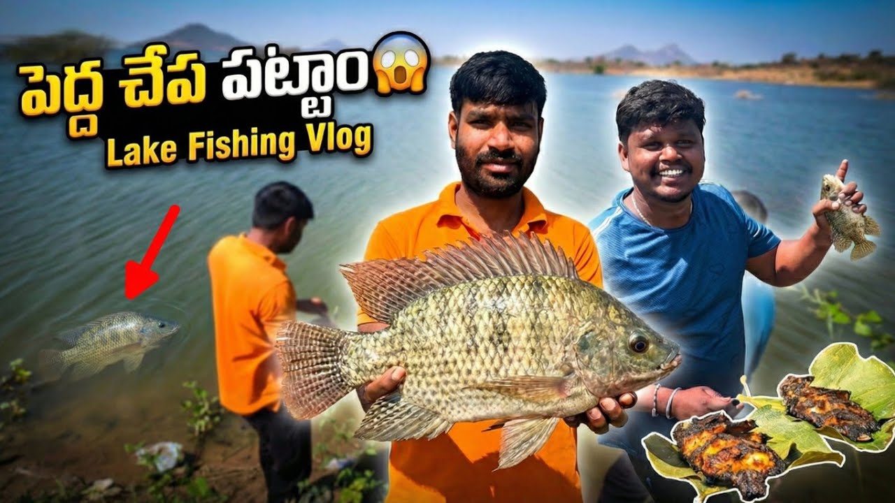 Fishing Video | గాలానికి చేపలు పట్టాము అన్నీ చిన్న చిన్న చాపలు 🤯 | డబ్బా గాలానికి చేపలు