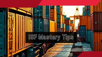 Mastering Importer Security Filings