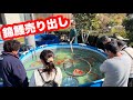【遼河鯉庵】 売り出しに誰も来なかったのでお客様が来た風に動画撮ってみた！