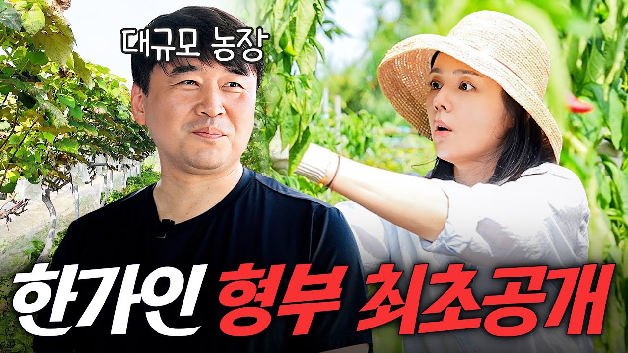 연정훈보다 한수위라는 역대급 스윗한 한가인 형부 최초공개 (밭일 후 새참, 한가인 언니)