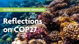 Reflections on COP27